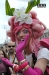 Torino Gay Lesbica Trans Pride LGBT 2014