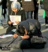  flash mob, guerra, torino, siria