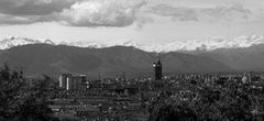 Turin black white