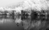 torino-bianco-nero-turin-black-white-19