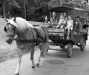 torino-bianco-nero-turin-black-white-28