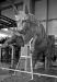 torino-bianco-nero-turin-black-white-32
