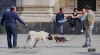 Torino Street Photography