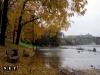 Alluvione Torino Piemonte Italia