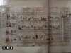 museo egizio papirus fotografia 
