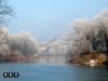 torino fiume po inverno bello nevico