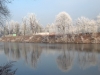 torino sul fiume po brina