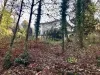 villa-becker-torino-32