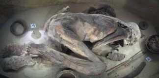 Египетский музей в Турине: сокровища древней цивилизации Египетский музей в Турине - Фото и видео