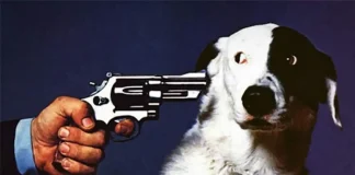 Протест в Турине в защиту прав животных в Италии Защита прав животных в Италии