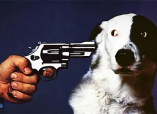 Протест в Турине в защиту прав животных в Италии Защита прав животных в Италии