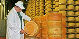 Итальянские Сыры Турина и Пьемонта ТОП 15 Итальянские Сыры Турина и Пьемонта ТОП 15