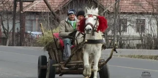 Фотографии из окна автобуса в Румынии: Бухарест в 2008 году и румынская глубинка Румыния фото из окна автобуса