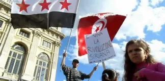 Сирийские радикалы в Турине протестуют против убийства мирных граждан в Сирии и осуждают Россию и Китай Сирийские радикалы опять вышли на площади Италии.