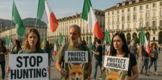 Охота в Италии: законы, сезон, штрафы и протесты против охоты на животных в Турине Национальная манифестация против охоты на животных в Турине
