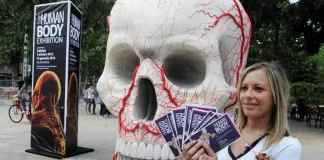 Лучшие события Турина в декабре 2012 года События Турина декабрь 2012 года