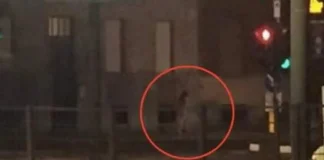 Появление голой женщины в туннеле Грульяско в Турине: полиция проводит расследование Голая женщина в подземном туннеле Турина Grugliasco