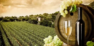 Лучшие итальянские белые вина Пьемонта: обзор и особенности Белые вина Пьемонта - Пьемонт славится не только красными винами, но и белыми