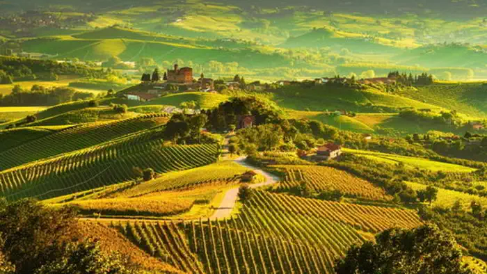 Ланге и Монферрато Агритуризм и дегустация лучшего итальянского вина Пьемонта