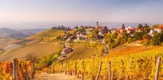 Итальянские вина Пьемонте: Открытие Ланге и Монферрато Путеводитель по Агритуризму Пьемонта Итальянское вино - вина Пьемонта, Ланге и Монферрато