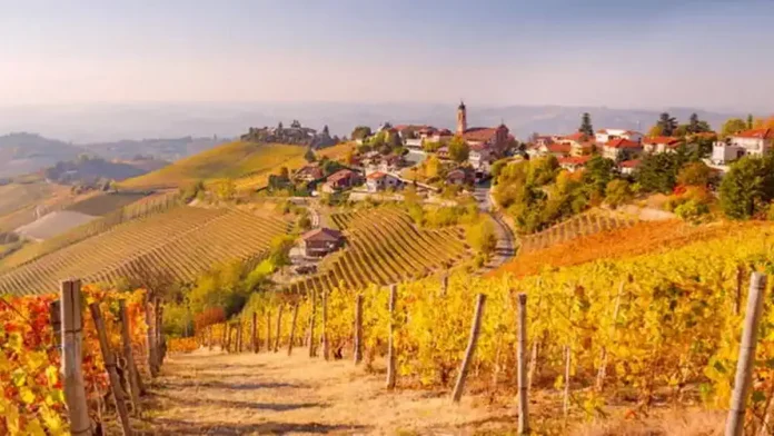 Итальянское вино - вина Пьемонта, Ланге и Монферрато