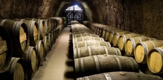 Винные зоны Италии Пьемонт Верчелли и Новара Земли итальянского вина - Верчелли и Новара