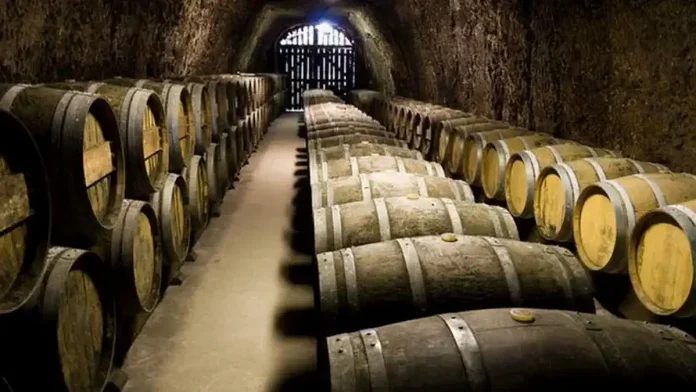 Земли итальянского вина - Верчелли и Новара