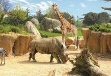 Зоопарки Италии ZOOM биопарк возле Турина ZOOM биопарк в Турине - Зоопарки Италии