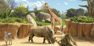 Зоопарки Италии ZOOM биопарк возле Турина ZOOM биопарк в Турине - Зоопарки Италии