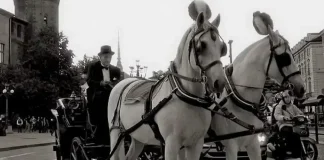 Фотографии Турина на Портале Новости и события Турин Фотоснимки и изображения Турина Портала Новости и события Турин