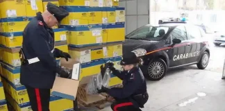 В Турине найден склад с незаконно приобретенными товарами Аутлет ворованных товаров в Турине