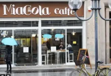 Историческое открытие: первое кошачье кафе в Италии открывается в Турине КотоКафе в Турине, первое в Италии