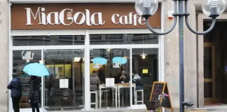 Историческое открытие: первое кошачье кафе в Италии открывается в Турине КотоКафе в Турине, первое в Италии