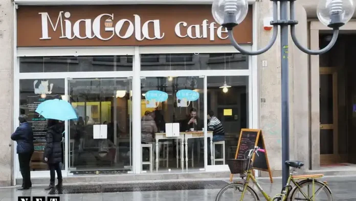 КотоКафе в Турине, первое в Италии