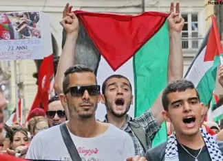 Протесты палестинцев в Турине Италия 2014: Израильская операция в Газе продолжается Манифестация палестинцев Турин Италия 2014