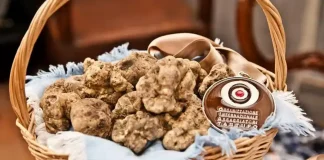 Изысканный аромат и вкус: Международная ярмарка белого трюфеля в Альбе, Пьемонте Фестиваль ярмарка белый трюфель Италии Пьемонт Альба