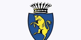 Почему Турин выбрал сине-желтую цветовую гамму? Сине-желтый Турин Италия - Почему цвета нашего города желтый и синий