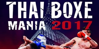 Чемпионы мира в Турине по Муай-тай, Кикбоксингу, K-1 и ММА Чемпионат по тайскому боксу Турин Чемпионы мира по Муай-тай, Кикбоксингу, K-1 и ММА