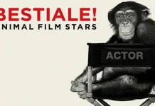 Путешествие в Турин в июле 2017 года: лучшие места для отдыха и развлечений Турин в июле 2017 как это было вспоминаем