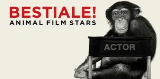 Путешествие в Турин в июле 2017 года: лучшие места для отдыха и развлечений Турин в июле 2017 как это было вспоминаем