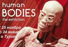 Удивительные открытия: Тайны человеческого тела в Турине Human Bodies a Torino | Mostra cadaveri umani | Выставка "Тайны человеческого тела" в Турине
