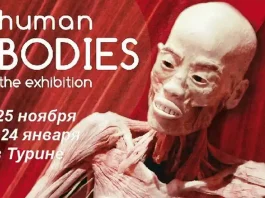 Human Bodies a Torino | Mostra cadaveri umani | Выставка "Тайны человеческого тела" в Турине