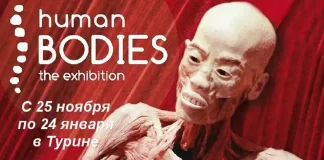 Удивительные открытия: Тайны человеческого тела в Турине Human Bodies a Torino | Mostra cadaveri umani | Выставка "Тайны человеческого тела" в Турине