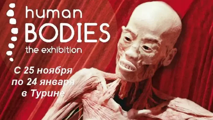 Human Bodies a Torino | Mostra cadaveri umani | Выставка "Тайны человеческого тела" в Турине