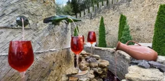 Бесплатный винный фонтан в Италии: новый способ погружения в местную культуру В Италии открывается бесплатный винный фонтан