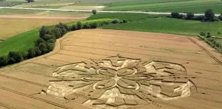 Появление загадочных кругов на пшенице в Пьемонте вызывает интерес у местных жителей Круги на пшенице в Пьемонте загадочные рисунки в Турине на полях