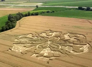Появление загадочных кругов на пшенице в Пьемонте вызывает интерес у местных жителей Круги на пшенице в Пьемонте загадочные рисунки в Турине на полях