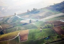 Регион Пьемонт вышел на 6-е место в десятку лучших европейских стран Пьемонт занял шестое место на известном экскурсионном сайте