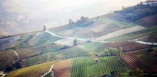 Регион Пьемонт вышел на 6-е место в десятку лучших европейских стран Пьемонт занял шестое место на известном экскурсионном сайте