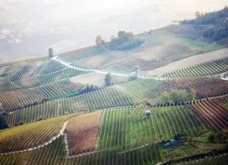 Регион Пьемонт вышел на 6-е место в десятку лучших европейских стран Пьемонт занял шестое место на известном экскурсионном сайте